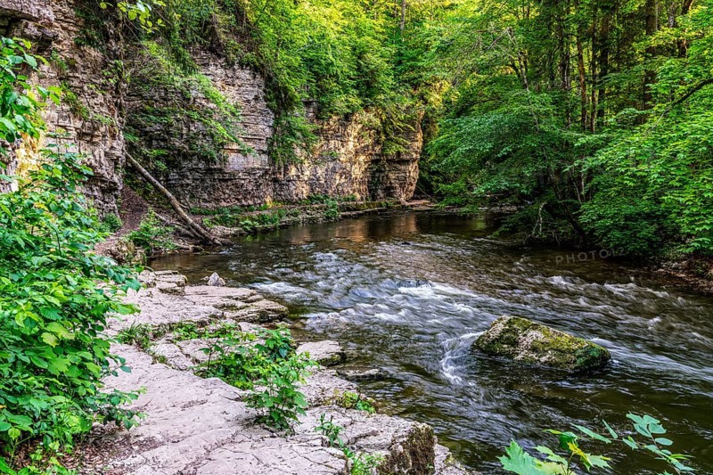 Natural river scene with rocks, rushing water and lush green forest
