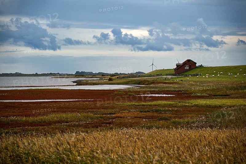 Wide coastal landscape with pastures, a farm and wind turbines under cloudy sky