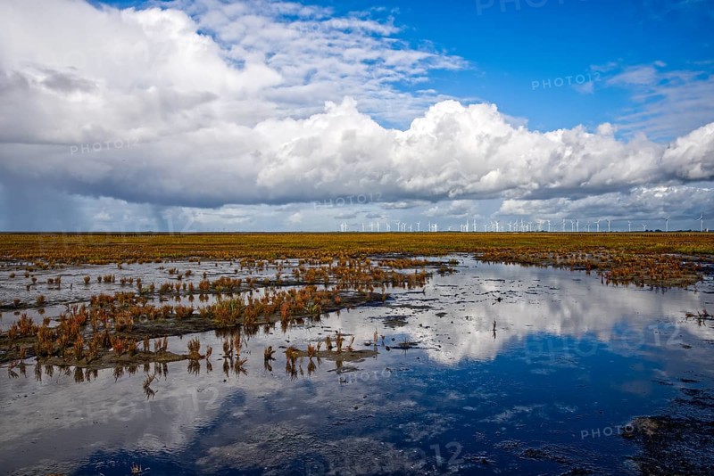 Wet marshland with water reflections and wind turbines in the distance under dramatic clouds