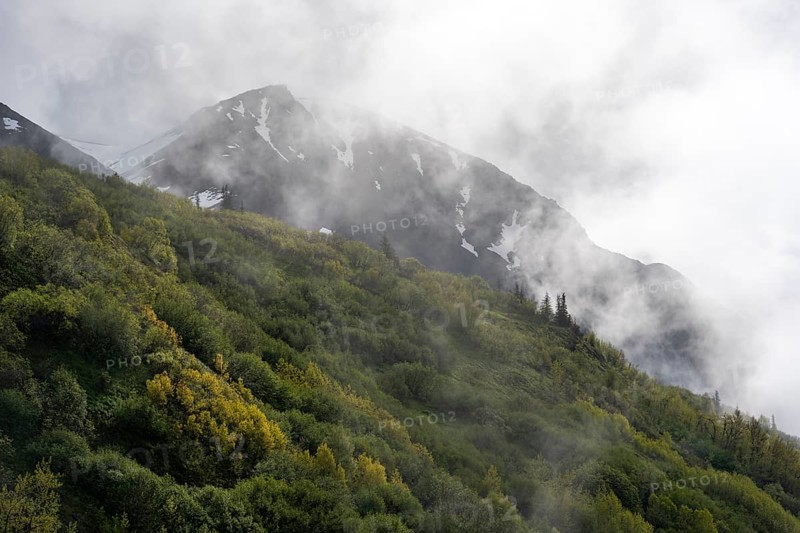 Fog sweeps around mountain peaks, Slaughter Ridge Trail, Cooper Landing, Kenai Peninsula, Alaska, USA