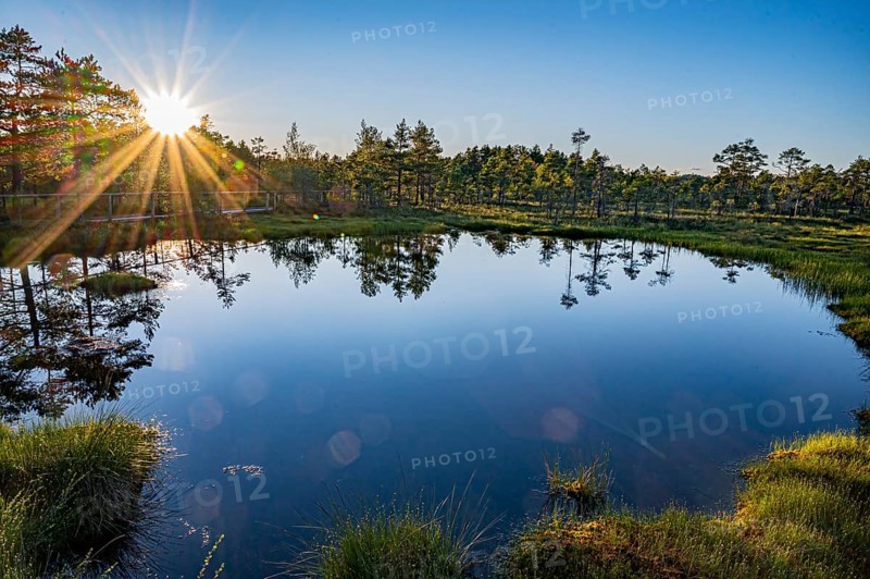 Hällefors, Örebro, Sweden, sunset over a lake with a clear reflection of the trees and a glowing sky in moor landscape with a wooden walkway