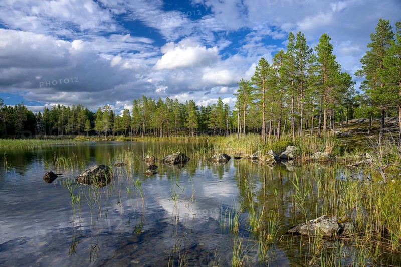 Torsborg, Jämtland County, Sweden, reflecting lake with rocks and forest in sunshine under cloudy sky