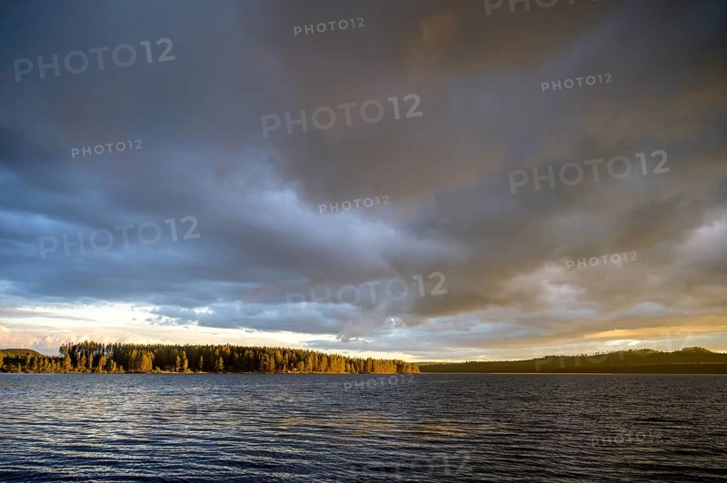 Evening over a lake with dark clouds and sun-drenched forest, Jämtland län, Sweden