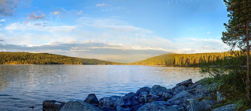 Panoramic view of Gutulsjön lake with surrounding forests under blue skies, Gutulia National Park, Drevsjö, Innlandet, Norway