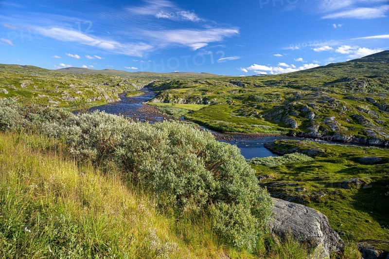 Vøringsfoss, Vestland, Norway, Green landscape with a river and hills under a blue sky in Hardangervidda