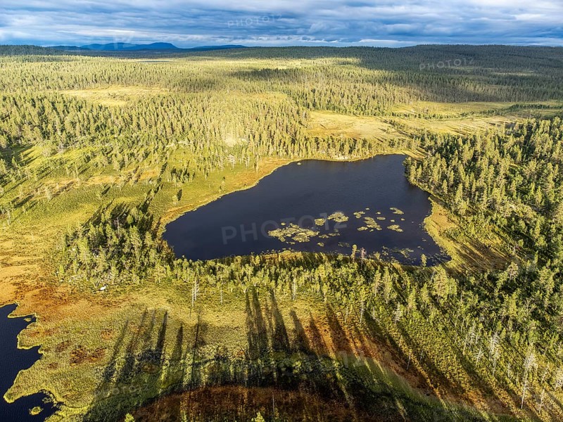 Idre, Dalarnas län, Sweden, aerial view of a moor lake with long shadows and surrounding forest area