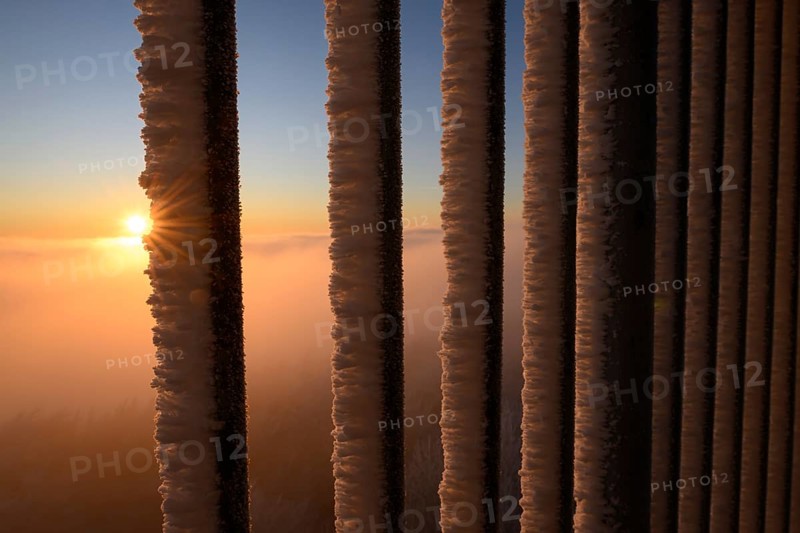 Sunset behind an icy railing with orange sky in the Teutoburg Forest on the Steinegge observation tower, Dissen, Osnabrücker Land, Teutoburg Forest, Lower Saxony, Germany