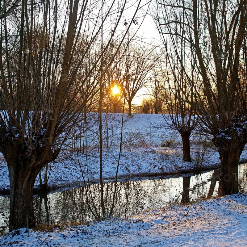Sunrise over Lower Rhine landscape on the Aubruch Canal in winter, Moers, Wesel district, Lower Rhine, North Rhine-Westphalia, Germany