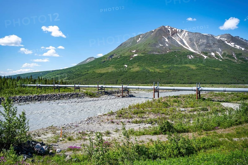 Alaska Pipeline Oil Pipeline, Alaska Range, Richardson Highway, Alaska, USA