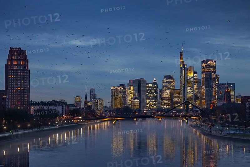 A flock of birds flies in the evening towards the glowing Frankfurt banking skyline, Osthafen, Frankfurt am Main, Hesse, Germany