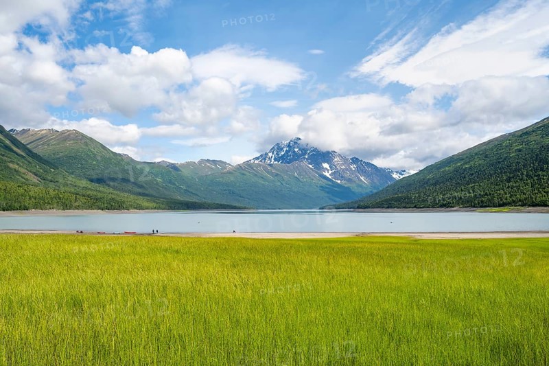 Green meadow on a lake and mountains, Eklutna Lake, Chugach Mountains, Chugach State Park, Alaska, USA