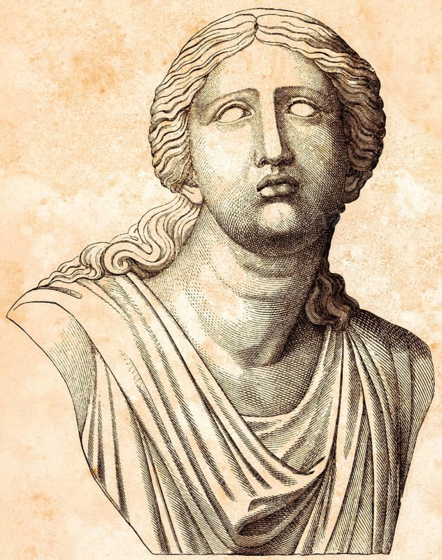 Bust of Niobe, Greek mythology, wife of the Theban king Amphion, transformed into marble according to legend, historical illustration 1869