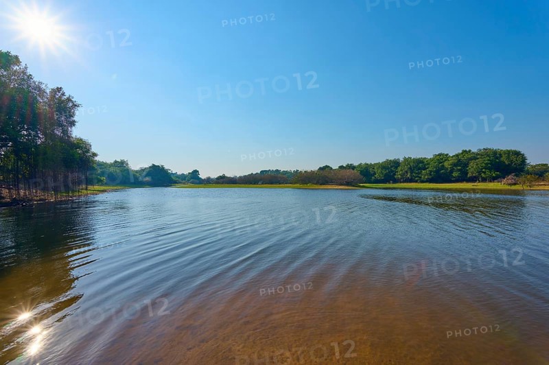A lake with soft waves and reflections, surrounded by trees under a clear, sunny sky, Fazenda Barranco Alto, Rio Negro, Pantanal, Mato Grosso, Brazil