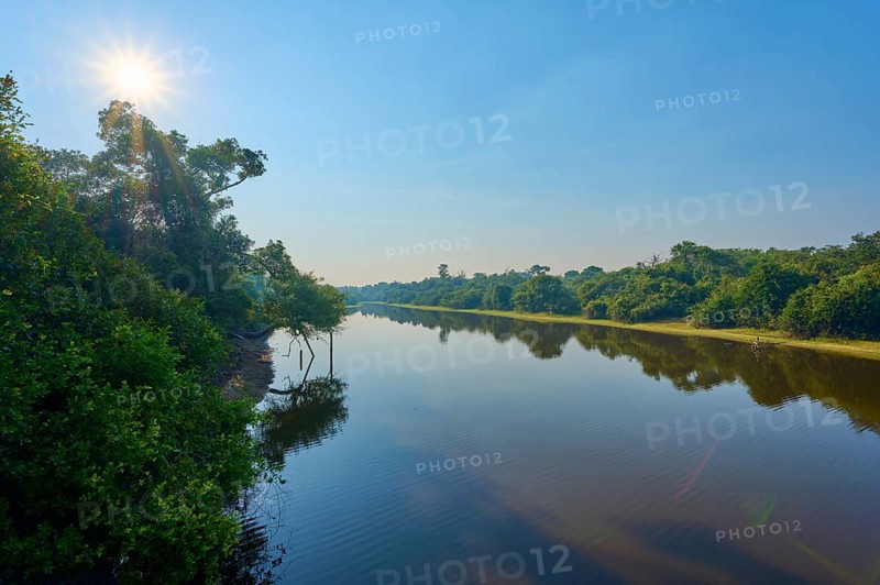 Bright sunshine over a quiet river and bright sky surrounded by trees, Fazenda Barranco Alto, Rio Negro, Pantanal, Mato Grosso, Brazil