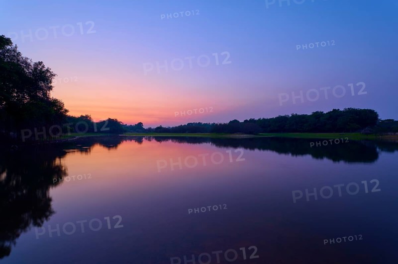 The lake reflects the purple and pink morning sky, framed by dark tree lines, Fazenda Barranco Alto, Rio Negro, Pantanal, Mato Grosso, Brazil