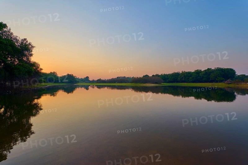 Morning light bathes the lake in warm, golden tones with the shade of green trees, Fazenda Barranco Alto, Rio Negro, Pantanal, Mato Grosso, Brazil