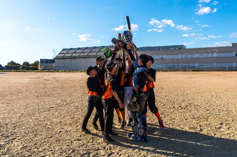 Young baseball players huddling together with arms raised in victory, holding bats, gloves, and helmets high celebrating their team accomplishment on a dirt field under a clear blue sky