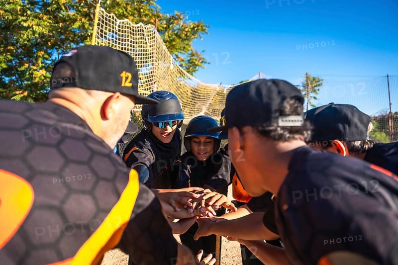 Baseball coach and diverse youth team link hands in a motivating pre game huddle on a sunny field, showing teamwork, leadership, focus and community spirit before practice