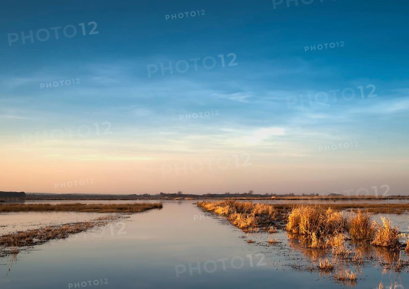 Extensive landscape with blue skies and delicate clouds is reflected in the water, soft yellow light on the horizon. Flooded meadows in Ochsenmoor, Dümmer nature park Park, Lower Saxony, Germany