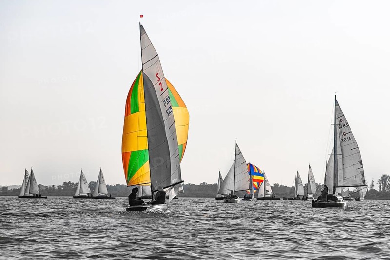 Colourful sailboats in a wooden boat regatta on Lake Dümmer in grey skies, in the foreground a historic Z-dinghy from Fricke-Dannhus with colorful spinnaker, Dümmer nature park Park, Lembruch, Lower Saxony, Germany