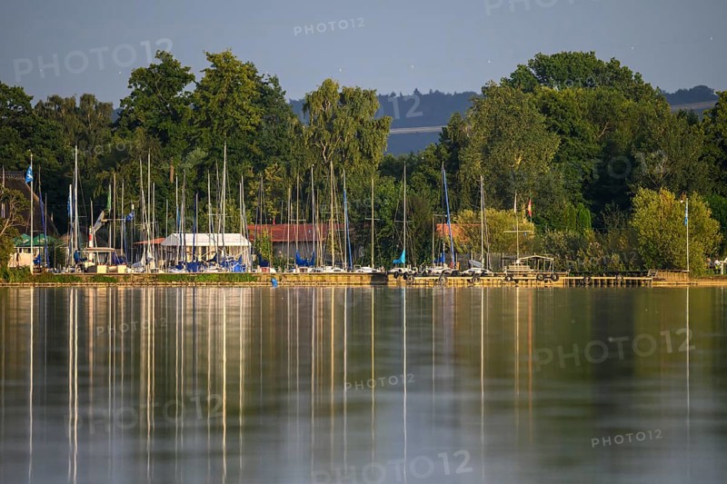 Dümmer See with sailboats and trees on the shore, harbor view with reflections of boats and masts, calm water and trees in morning light, Dümmer nature park Park, Lower Saxony, Germany
