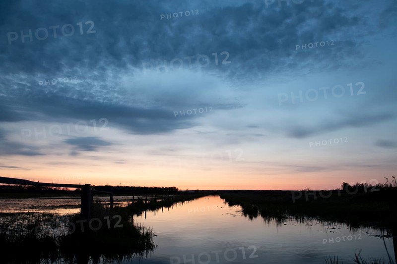 A wide area of water on the edge channel at Dümmer See reflects the soft light of sunset on the horizon, Dümmer nature park Park, Lower Saxony, Germany