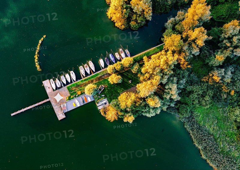 Aerial view of several boats on a pier surrounded by autumn trees and green water, Dümmer nature park Park, Lower Saxony, Germany