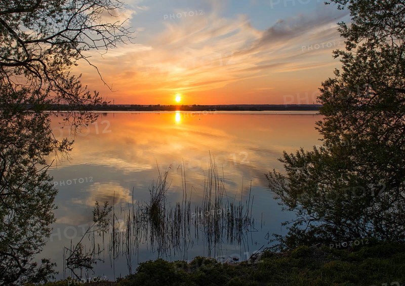 Sunset over a lake, colorful sky reflection, quiet scenery south bay of Lake Dümmer, Dümmer nature park Park, Lower Saxony, Germany