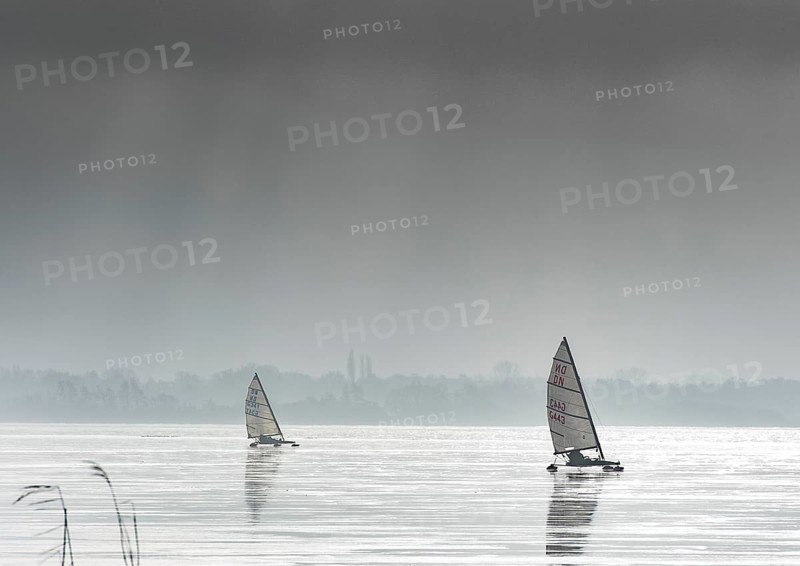 Ice sailors on frozen Dümmer Lake, grey sky in the background, Dümmer nature park Park, Lembruch, Lower Saxony, Germany
