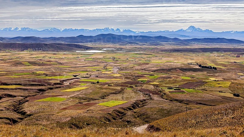 Wide landscape with fields and distant mountains, The Altiplano landscape in the Andes of Bolivia