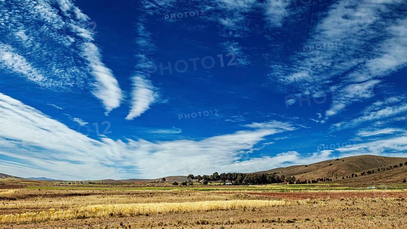 Wide landscape with fields under an intense blue sky, The Altiplano landscape in the Andes of Bolivia