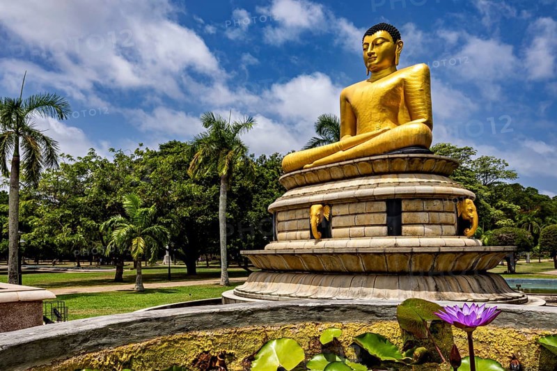Close-up view of a golden Buddha statue with lotus flower surrounded by palm trees and blue sky, The Golden Buddha in Colombo City Park Sri Lanka