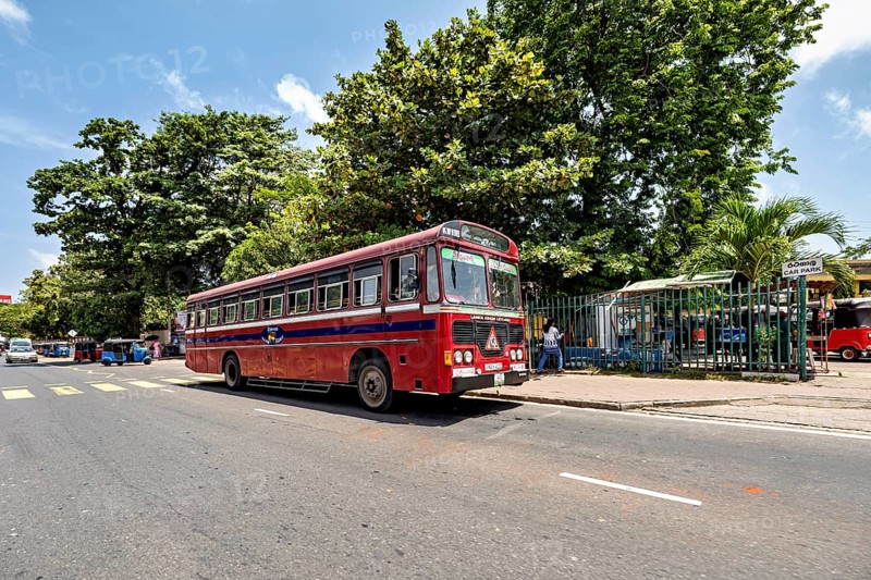 A red bus stands on a street surrounded by trees and people in sunshine, bus in the streets of Colombo Sri Lanka
