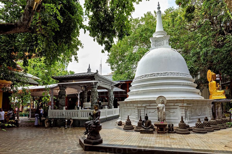 A Buddhist temple complex with a white stupa surrounded by Buddha statues and lush greenery, The Gangaramaya Temple in Colombo Sri Lanka