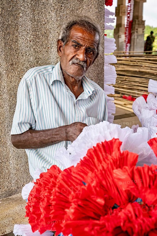Elderly man next to red and white flowers engaged in crafts, people making garlands in Colombo Sri Lanka City Hall