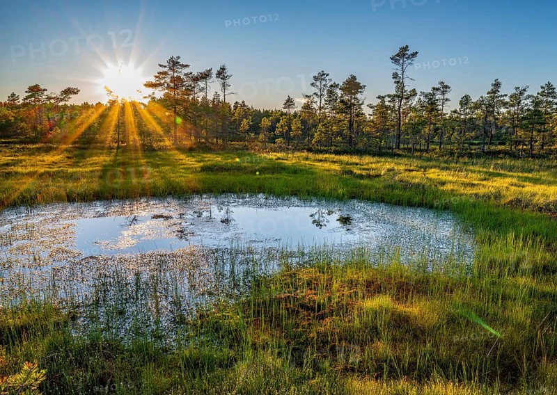 Picturesque swamp during sunrise with rays of light and a small pond, Härjedalen, Jämtland, Sweden