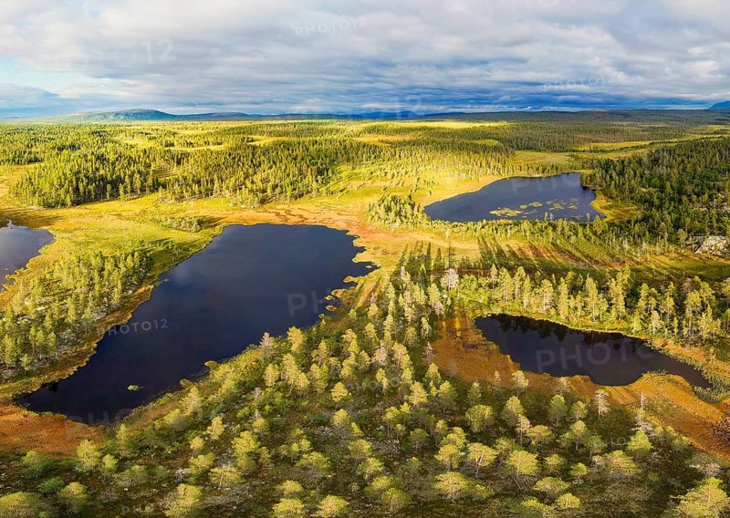 Green forest landscape with blue lakes under a cloudy sky in a calm atmosphere, Härjedalen, Jämtlands län, Sweden