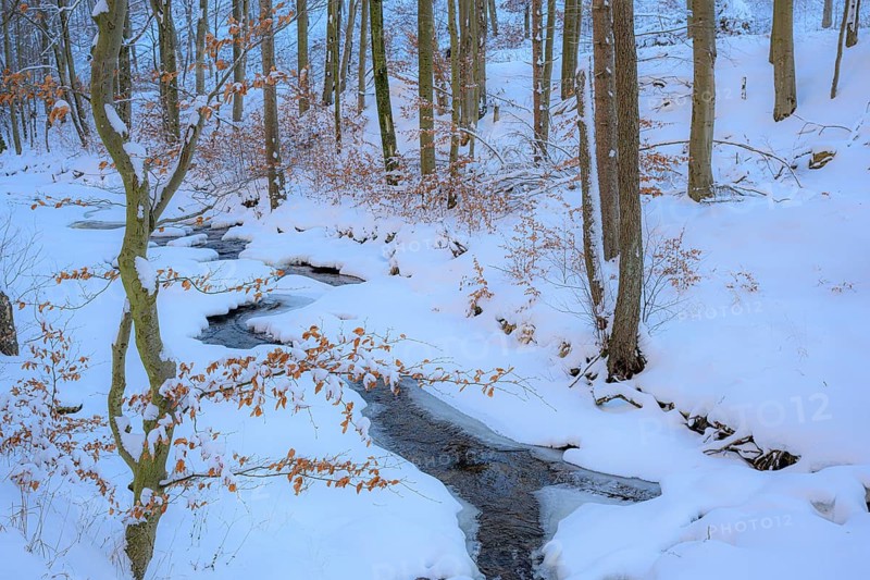 Ilsenburg, Saxony-Anhalt, Germany, A narrow stream that snakes through a snow-covered forest on the Ilse River in the Harz National Park on the Heinrich-Heine Weg hiking trail Ilsetal