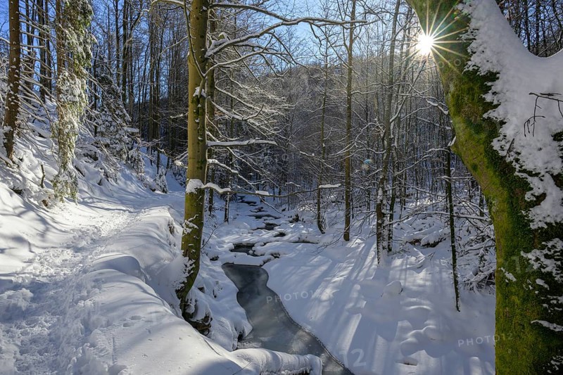 Ilsenburg, Saxony-Anhalt, Germany, A sunny winter day in the forest with snow-covered trees and a trail along the Ilse River in the Harz National Park on the Heinrich-Heine trail Ilsetal hiking trail