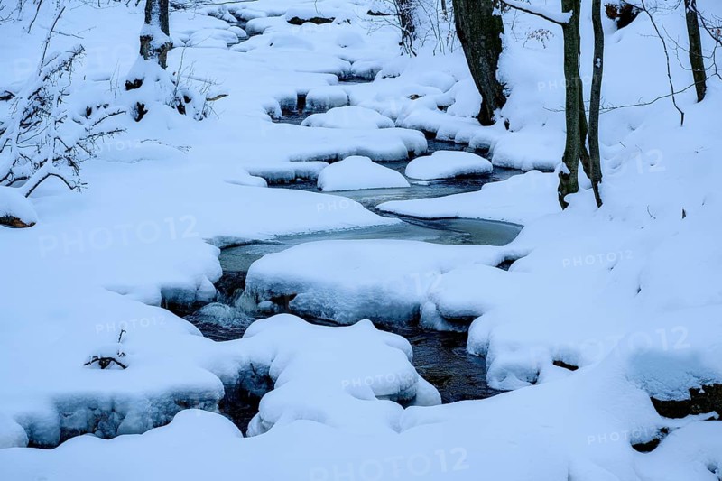 Ilsenburg, Saxony-Anhalt, Germany, Small river Ilse meanders in the Harz National Park on the Heinrich-Heine trail Ilsetal hiking trail covered by snow and ice in a wintry scene