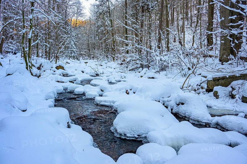 Ilsenburg, Saxony-Anhalt, Germany, Snowy Ilse River in the Harz National Park on Heinrich-Heine Weg Ilsetal hiking trail in the winter forest with trees in the background