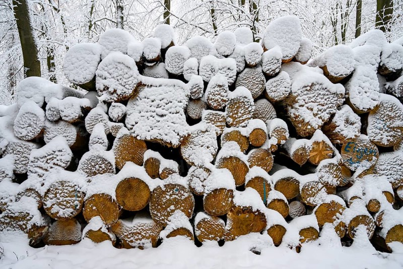Hilter am Teutoburg Forest, Lower Saxony, Germany, Snow-covered pile of wood in the forest during winter rest