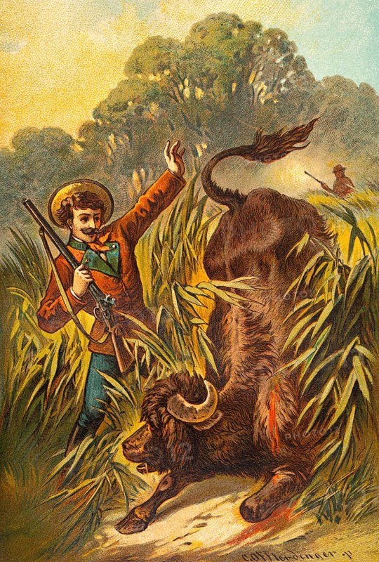 Hunting scene in Romania, picture of a fairy tale, fantasy, hunter with rifle, reeds, riverbank, forest, large animal, bull or buffalo, colorful historical illustration 1888