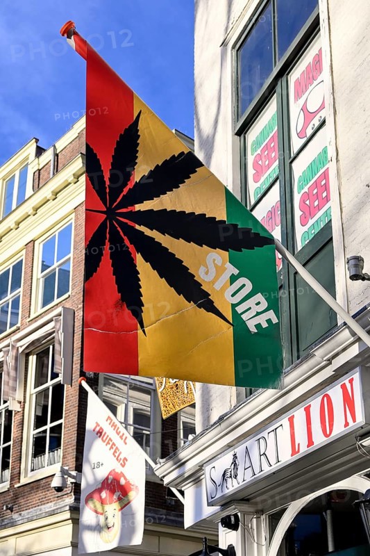 Flag with marijuana leaf at a cannabis shop in the pedestrian zone of The Hague, South Holland province, the Netherlands