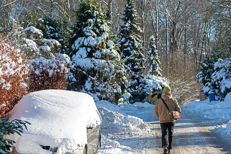 Snowy car, snowy trees, walker, winter, snow, Sieversen, Samtgemeinde Rosengarten, Lower Saxony, Germany