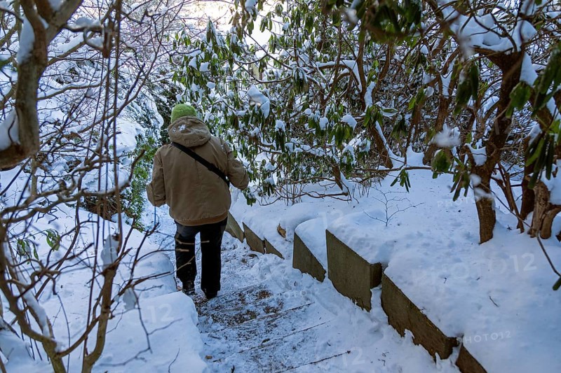 Woman walking down icy stairs, winter, snow, ice, Sieversen, Samtgemeinde Rosengarten, Lower Saxony, Germany