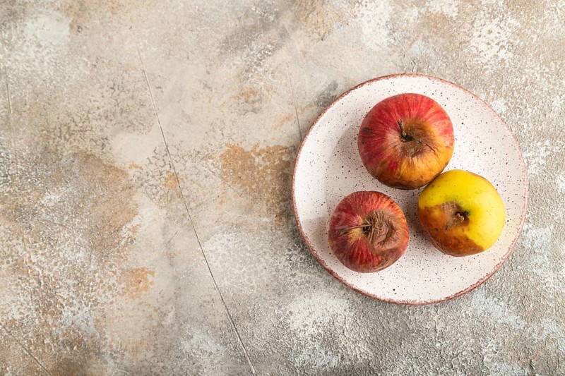 Decaying, Rotting apples on ceramic plate on brown concrete background. Top view, copy space, flat lay, minimalism