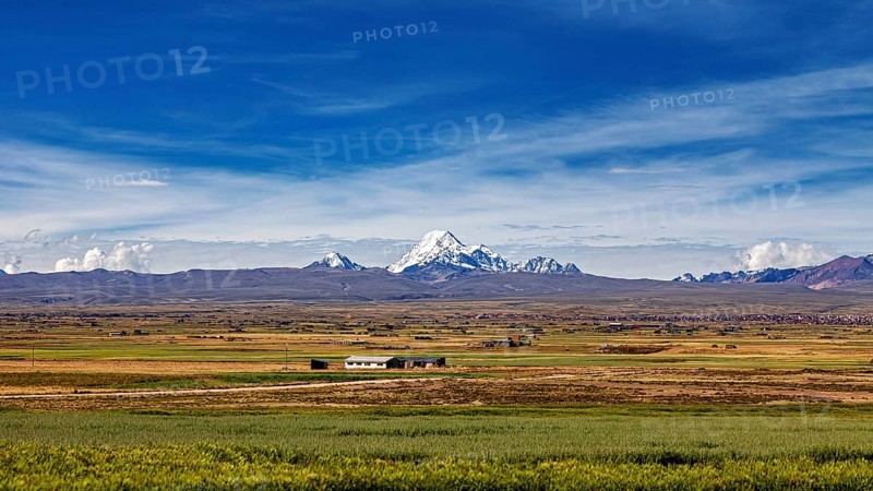 Green fields in the foreground with snow-covered mountain in the distance, The landscape of the Altiplano in the Andes of Bolivia