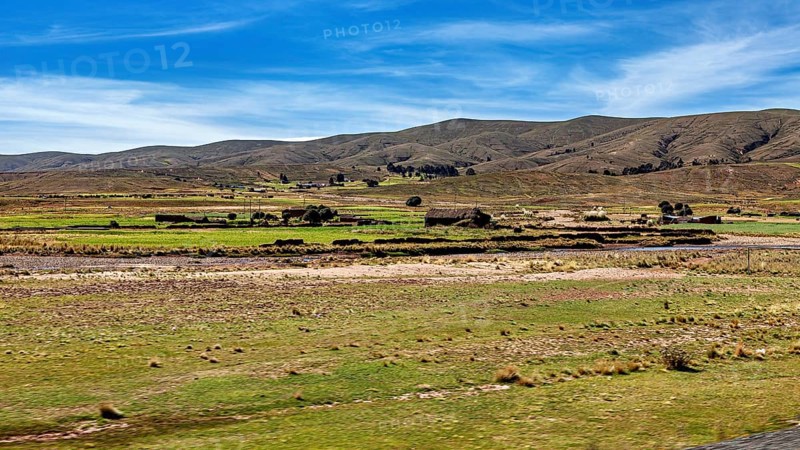 Wide, green pastures with hills in the background under a blue sky, the landscape of the Altiplano in the Andes of Bolivia