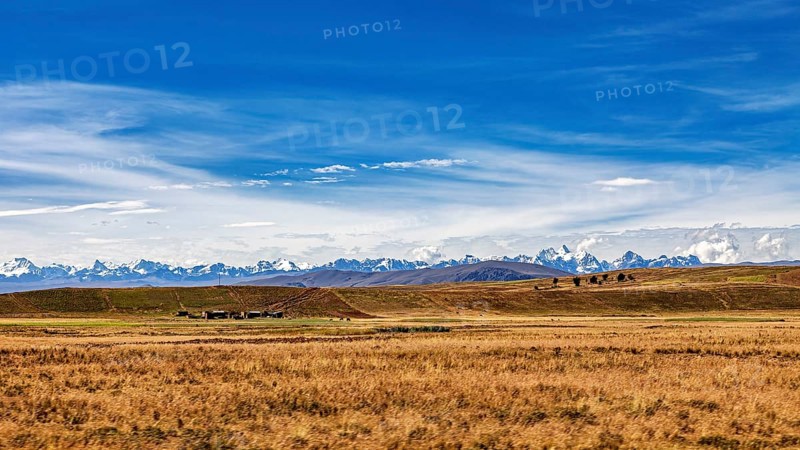 Endless fields against a mountainous backdrop under a blue sky, the Altiplano landscape in the Andes of Bolivia